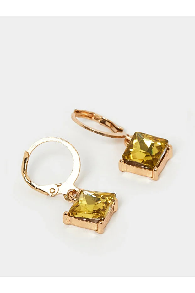 Styli Faux Crystal Earrings